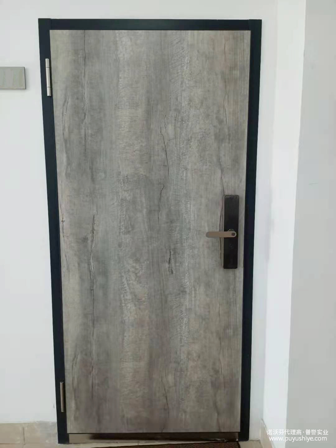 诺沃芬入户门定制