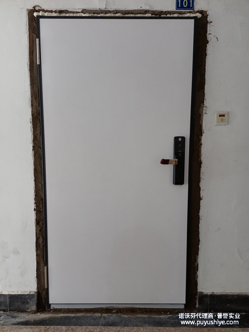 定制诺沃芬入户门