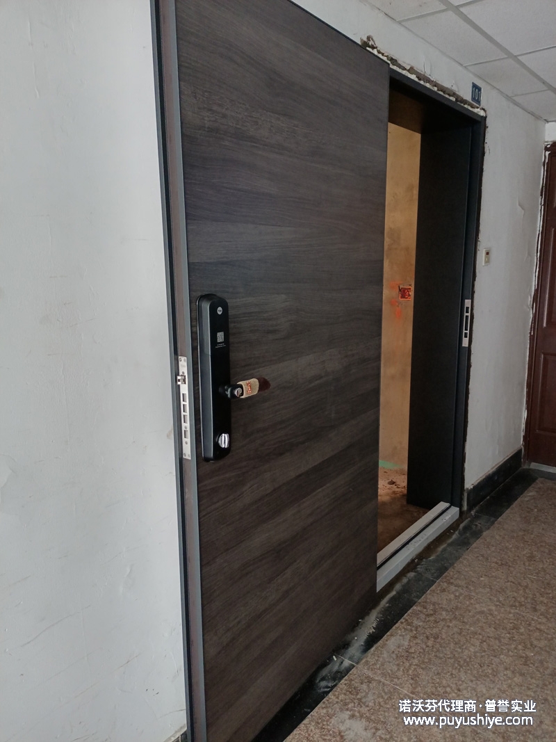 定制诺沃芬入户门